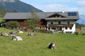 Ein zweistöckiges Gebäude mit Balkon, umgeben von einer Wiese mit Kühen und Bergen im Hintergrund.