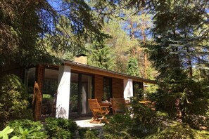 A modern house with a patio, surrounded by dense forest. - Bungalow in the forest (Borkwalde)