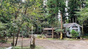 Uma cabana rústica rodeada por uma floresta densa, com uma trilha de terra que leva até ela.