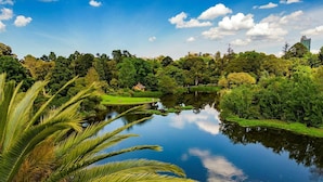 Un parque tranquilo con un lago sereno, abundante vegetación y edificios a lo lejos.