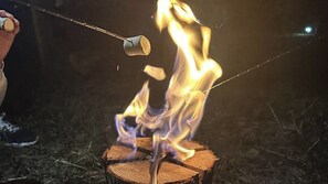 Un feu de camp avec une guimauve qui grille.