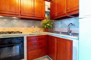 Eine Küche mit Holzausstattung, einem Gasherd, einem Backofen, einer Spüle und einem Blumentopf.