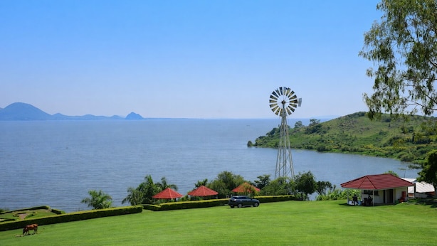 Un molino, un lago y una zona cubierta de hierba con algunos edificios.