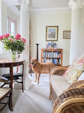 Ein Zimmer mit Hund, einer Bücherwand, einem Korbssessel und einem Tisch mit Blumenvase.