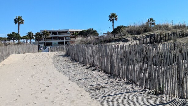 A sandy beach path leading to a building with multiple floors, surrounded by palm trees and a wooden fence. - Seafront marina, a stone's throw from the beaches (Le Grau-du-Roi)