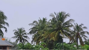 A residential area with multiple palm trees and a house with a corrugated metal roof. - Zurano Villa – Your Spacious and Cosy Home Away from Home! (Dar es Salaam)