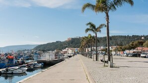 A marina with boats docked, a paved walkway, palm trees, and buildings in the background. - Floating Over the Sado | Arrábida, Beaches & Town (Setúbal)