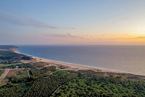 Ein Luftbild einer Küstenlandschaft mit Strand, bewaldetem Gebiet und blauem Himmel.
