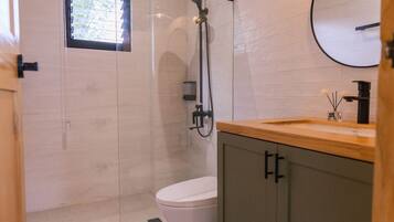 Un baño moderno con ducha de vidrio, inodoro, tocador de madera con lavabo y espejo.