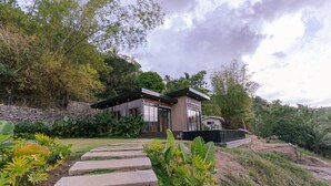 A modern house with a stone pathway leading to the entrance, surrounded by lush greenery and a stone wall.