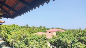 Ein Gebäude, umgeben von üppiger Vegetation, mit blauem Himmel.