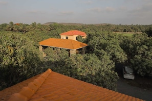 Une maison avec un toit rouge, entourée d’une végétation luxuriante.