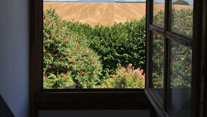 A window with a view of a field and trees. - 4-Star Longère “L'Albizia” with Morvan Views (Billy-Chevannes)