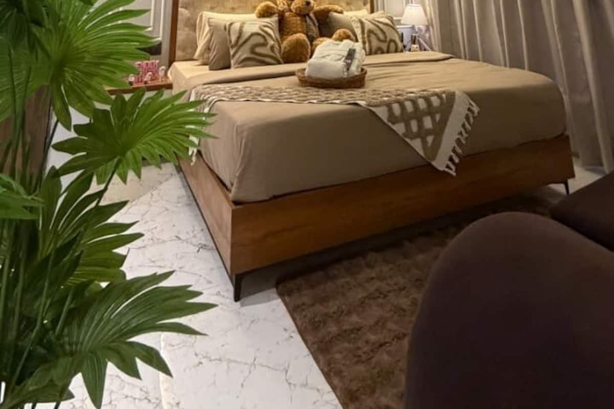 Quarto com uma cama, um ventilador de teto, uma planta grande e uma cortina.