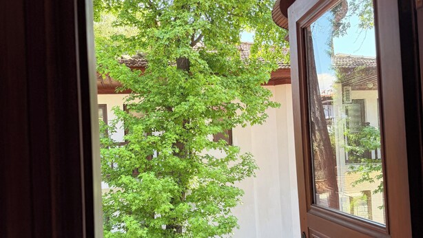 A wooden door with a glass panel, a balcony with a white railing, and a tree in the background. - Jasmine Suıts (ula)