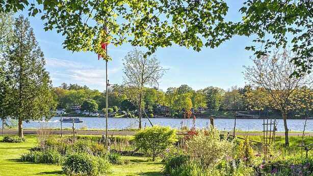 A park with a grassy area, trees, and a body of water in the background. - Bell Inn Cottage (Sanford)