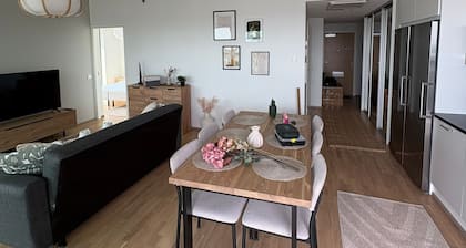 New 12th Floor 2BR Apt - Stunning Views