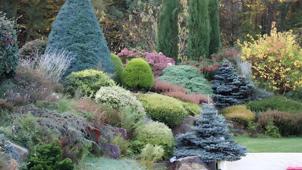 A landscaped garden with various topiary shapes, a pond, and a variety of shrubs and trees.