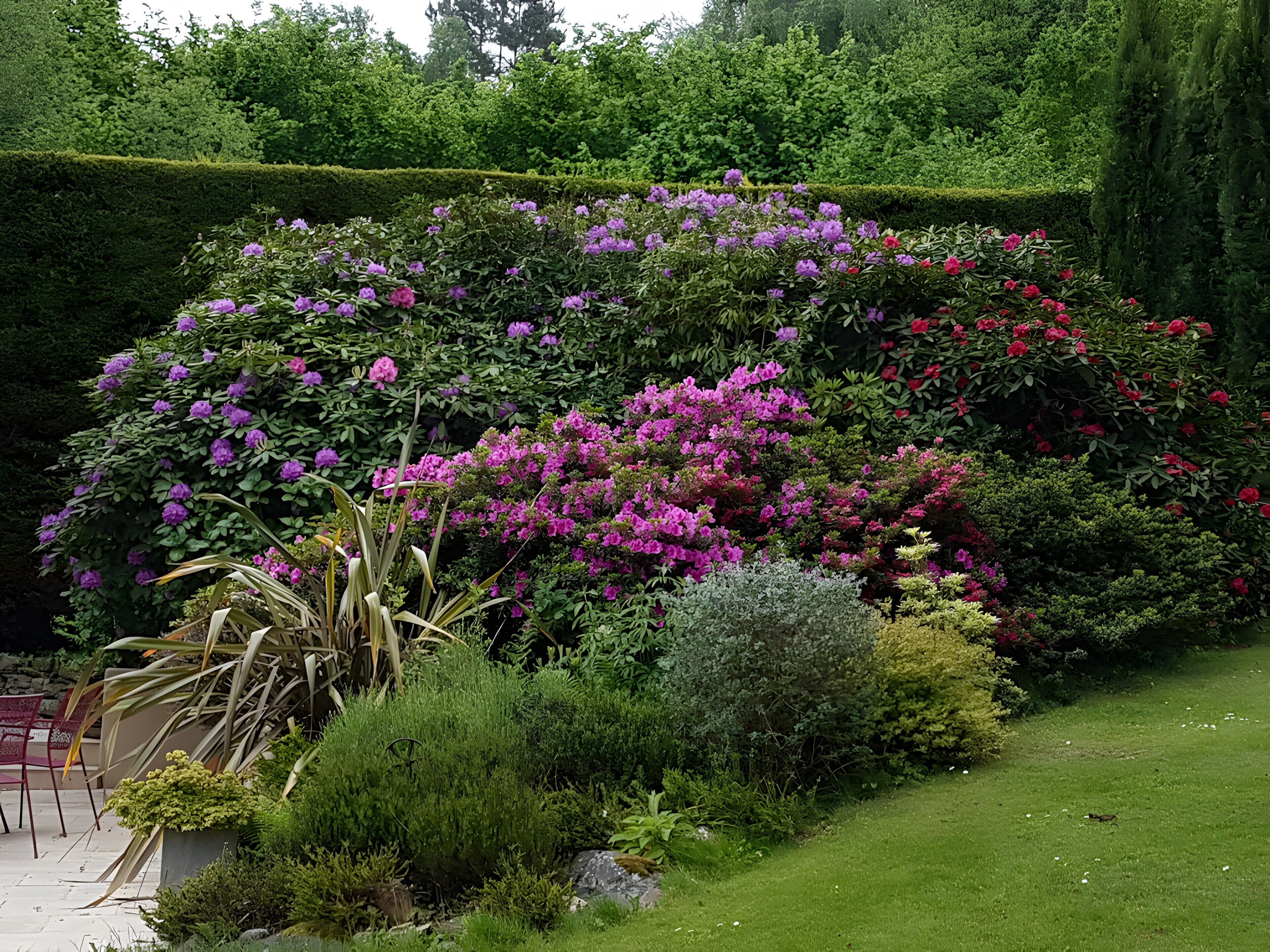 Um jardim com arbustos e flores variadas, incluindo flores roxas e vermelhas, e uma sebe bem aparada ao fundo.