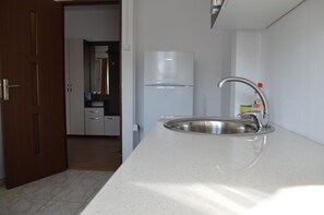 A kitchen with a stainless steel sink, a white refrigerator, and a wooden door. - Alexys Residence 4 cozy apartment in welcoming Iași with AC (Iași)