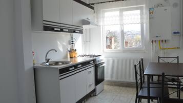 Een keuken met een fornuis, spoelbak en raam.