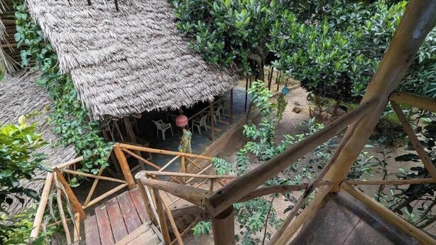 Property grounds - Zan Culinary Apartment – Cozy 1-Bedroom Stay with Garden & Comfort (Zanzibar)