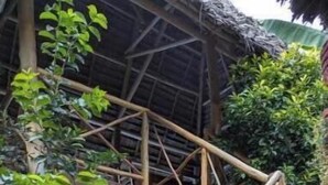Property grounds - Zan Culinary Apartment – Cozy 1-Bedroom Stay with Garden & Comfort (Zanzibar)