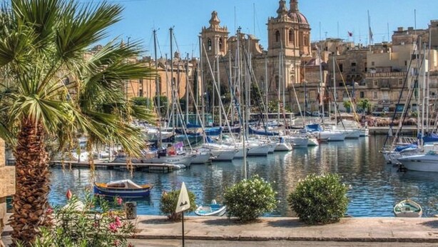 Ein Yachthafen mit vertäuten Booten, eine Palme und ein Gebäude mit Kuppelarchitektur im Hintergrund.