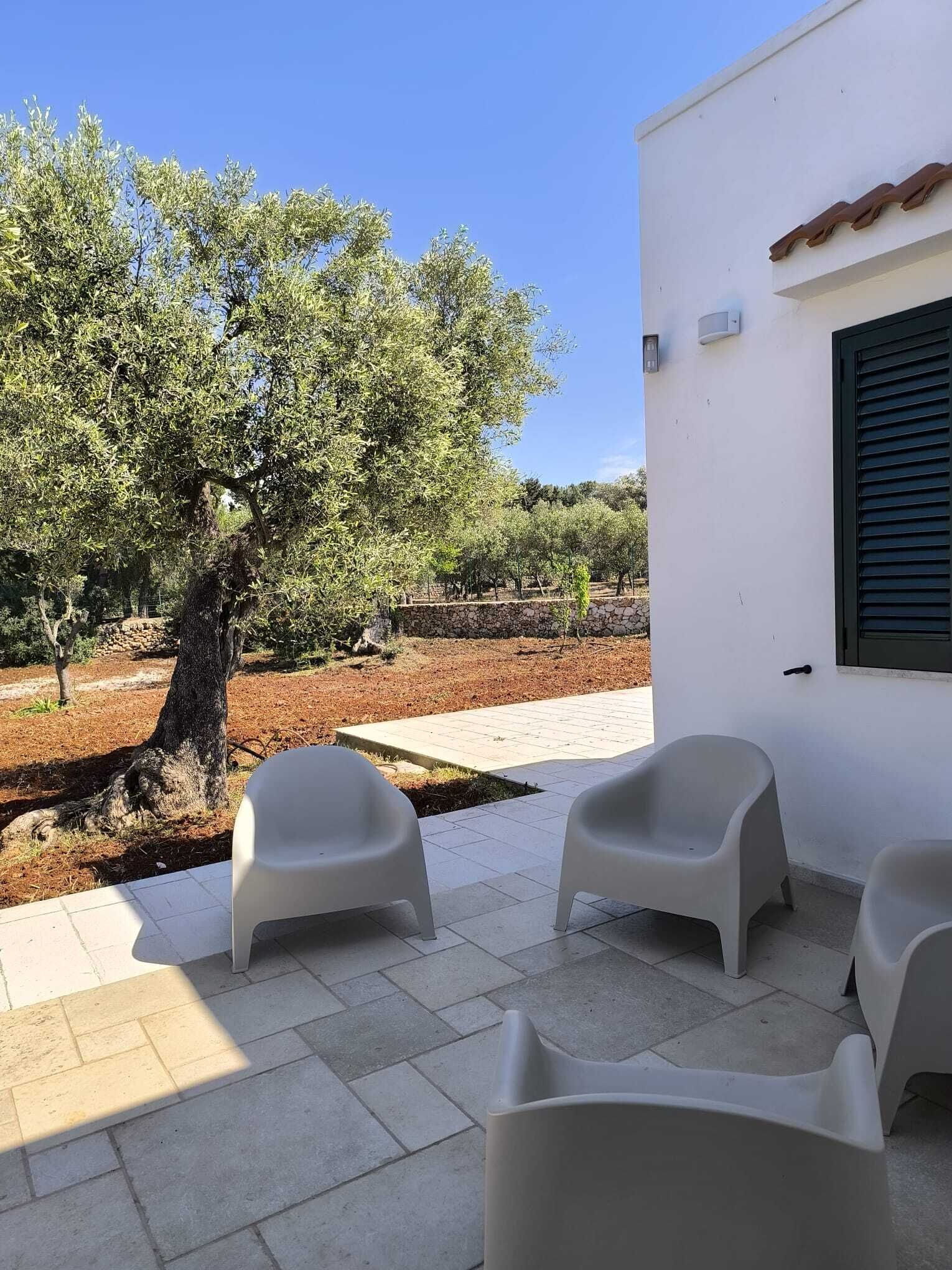 Terrasse/patio