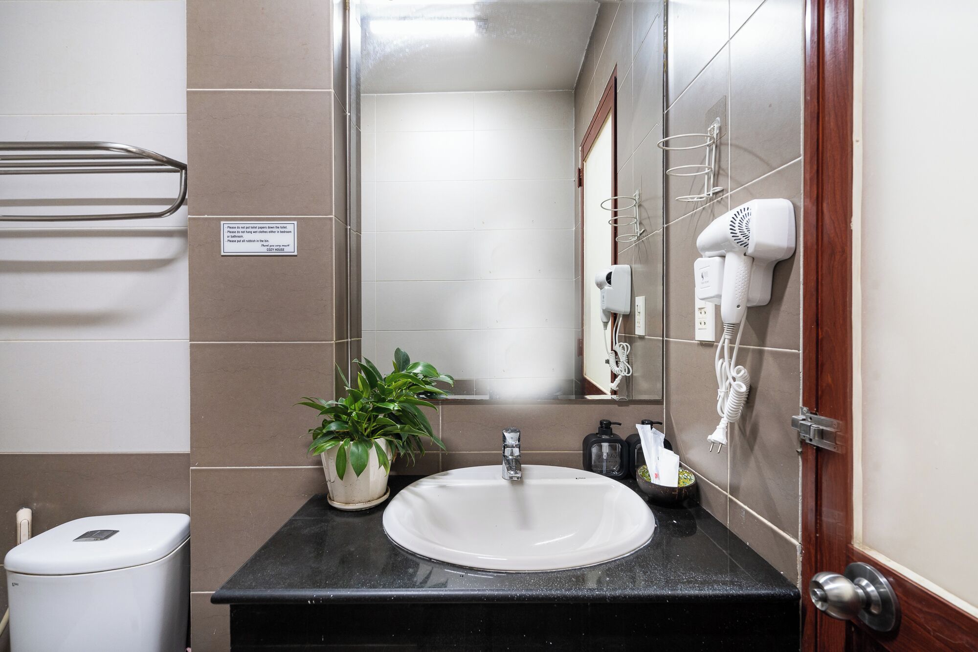 Une salle de bain équipée d’un lavabo, d’un miroir, d’un sèche-cheveux et d’une plante en pot.