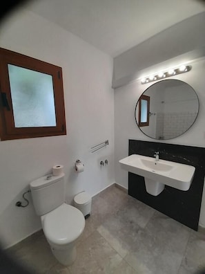 A bathroom with a toilet, sink, mirror, and a frosted window.
