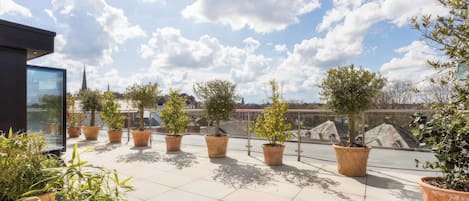 A rooftop terrace with potted plants and a view of a cityscape.