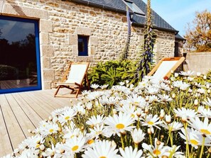 A stone building with a wooden deck, two lounge chairs, and a garden of white flowers.