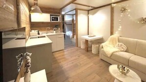 电视