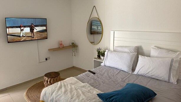 Une chambre à coucher avec un lit, des oreillers, une télévision, un miroir et une étagère avec des plantes.