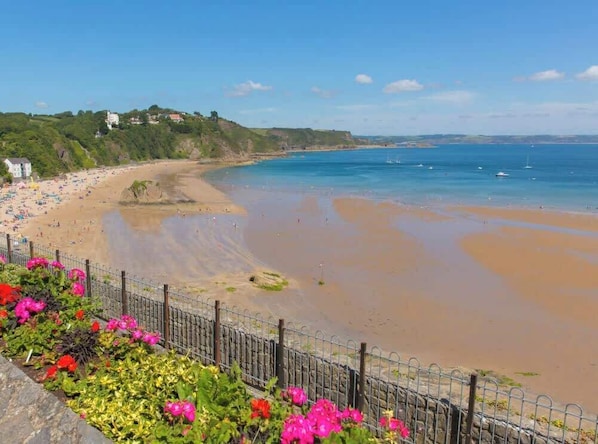 Ein Küstenstrand mit einer Umzäunung, Blumen und freiem Blick auf das Meer.