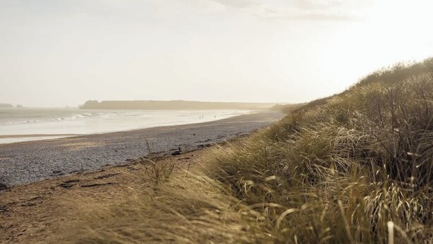 Une plage avec une dune herbeuse et une mer calme.