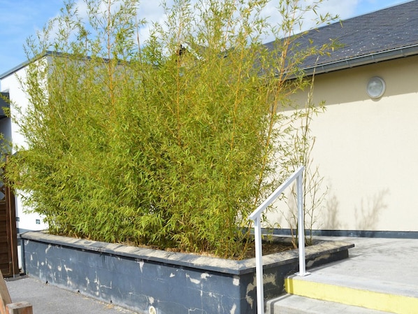 A building with a concrete planter containing green foliage, a white railing, and a clear sky.