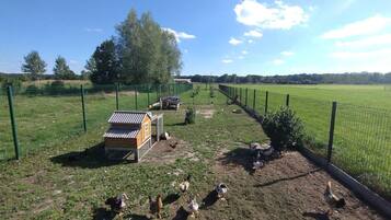 A fenced outdoor area with a coop, trees, and a clear sky.