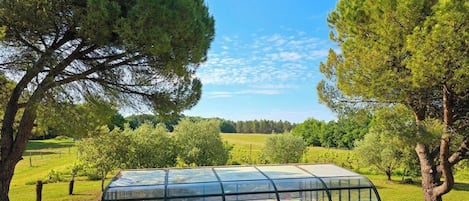 Alberca