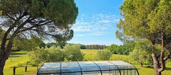 House with pool, pets allowed - 12 guests
