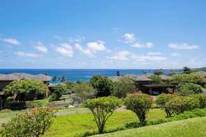 Property grounds - New Listing - Kapalua Ridge Villa 1BD Ocean View (Lahaina)