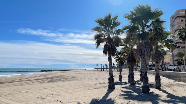 Una playa arenosa con palmeras y cielo despejado.