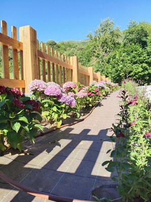 A garden pathway with a wooden fence, surrounded by various plants and flowers.