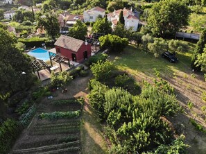 Vista aerea di una zona residenziale con case, una piscina e un vigneto.