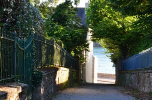 Un sentier qui mène à un plan d’eau, bordé de clôtures et d’arbres verdoyants.