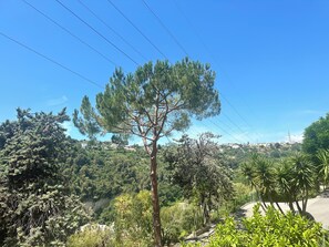 Landschaft mit Baumreihen, blauem Himmel, einer Straße und Gebäuden in der Ferne.