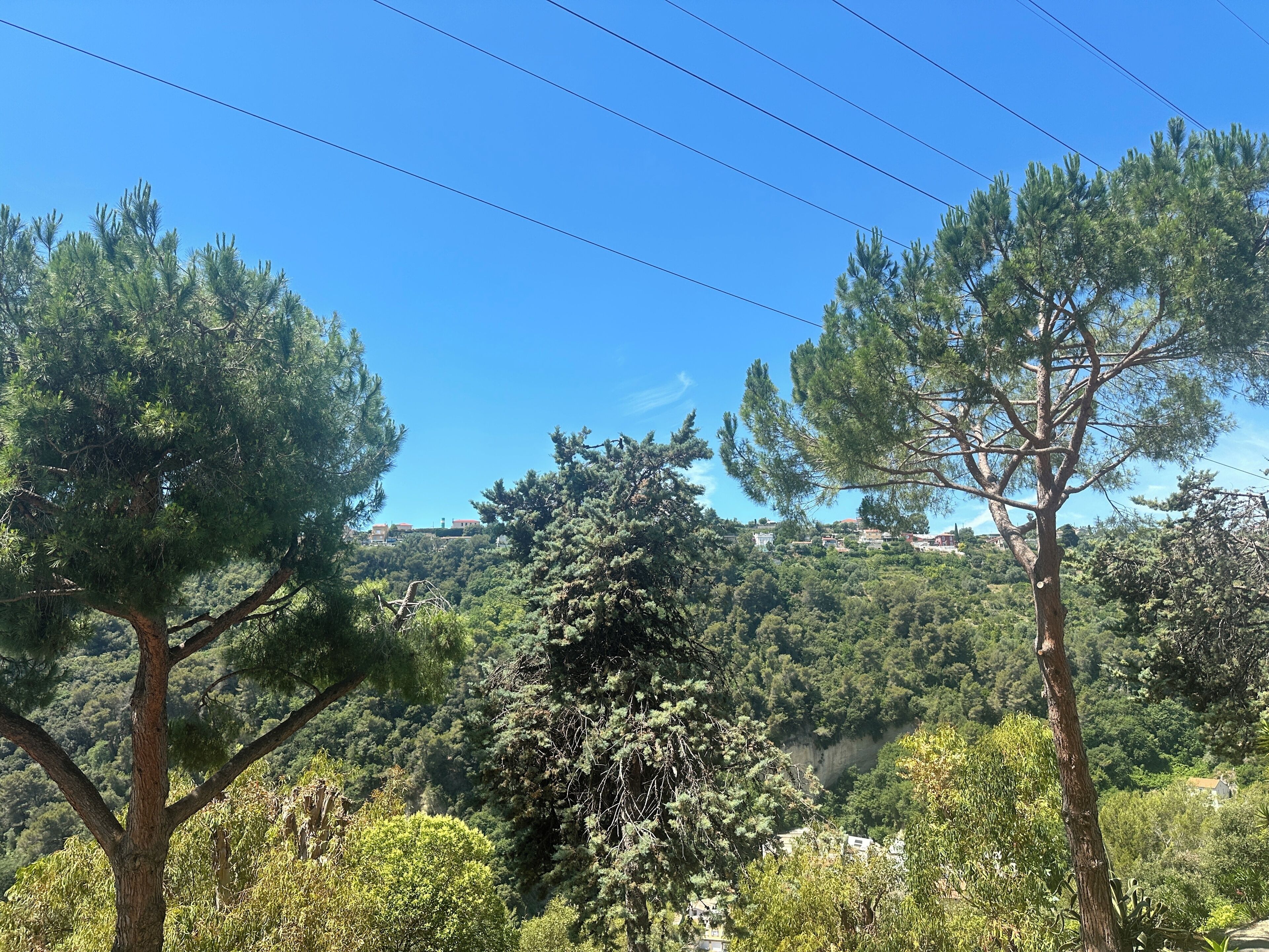 Un paysage arboré avec une vue lointaine sur des bâtiments.
