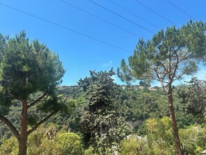 Eine Landschaft mit Bäumen und einer entfernten Ansicht von Gebäuden.