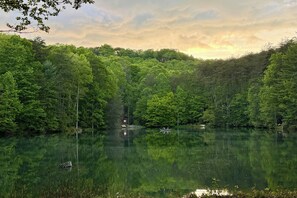 Ein friedlicher See, umgeben von dichtem Wald, mit ruhiger Wasseroberfläche und einem Boot.